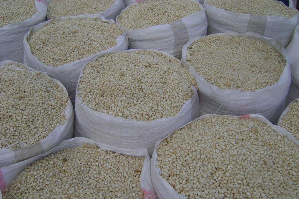 Bulking, value addition and export high quality, climate-resilience sim-sim ( sesame) and oilseeds